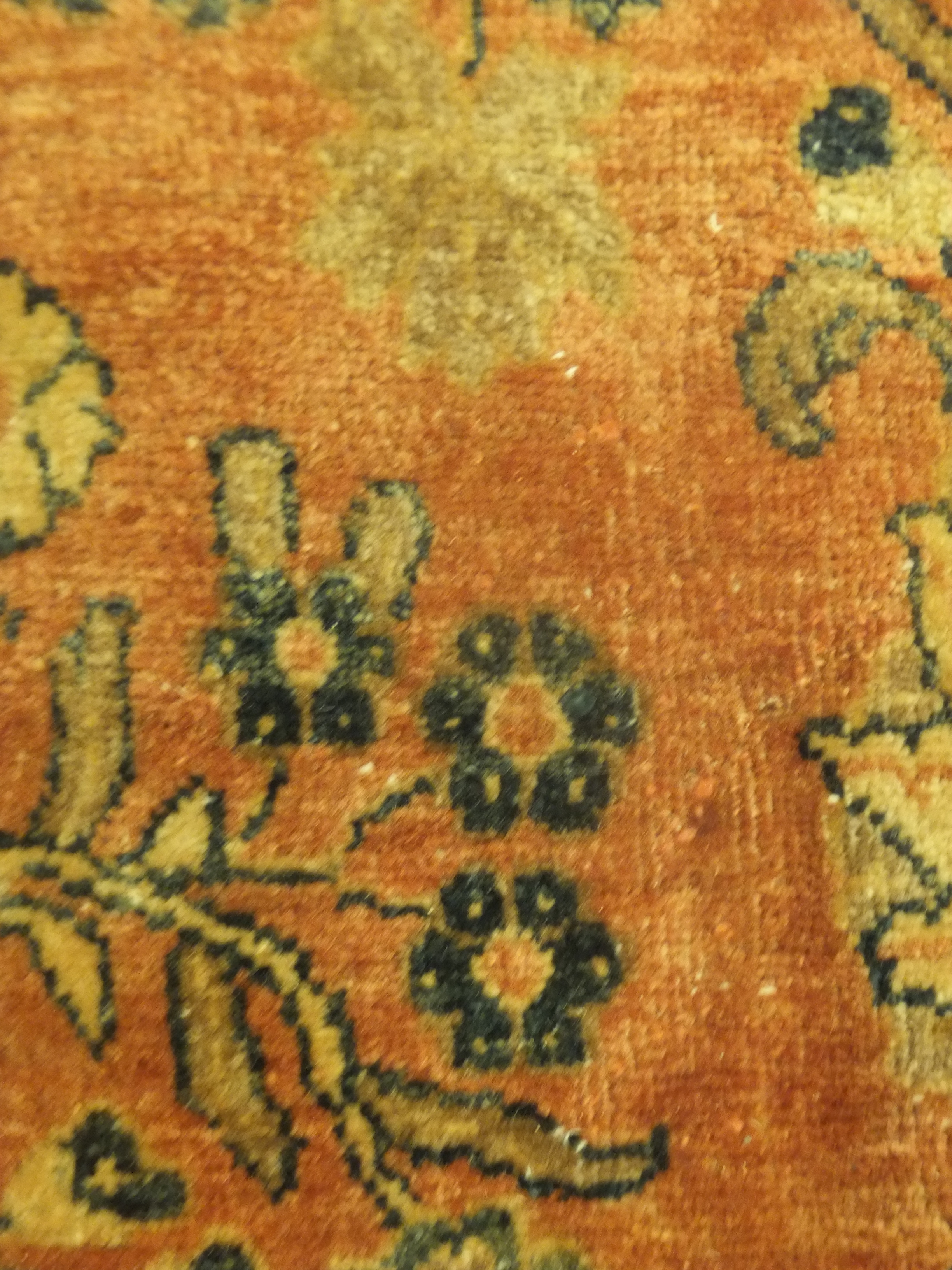 Rug image